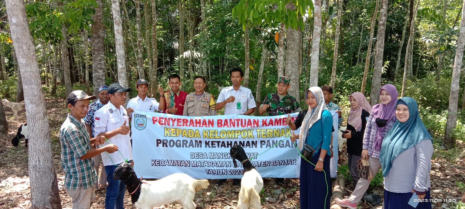 Penyerahan Bantuan Kambing Kepada Kelompok Ternak Program Ketahanan Pangan Desa Mangkalawat